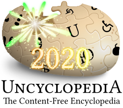 New Year's Day 2020